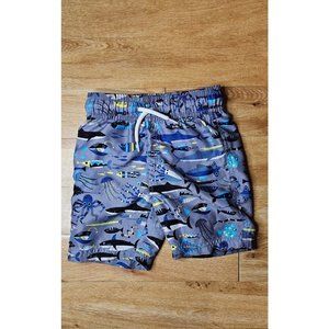 Toddler 4T Swim Trunks
